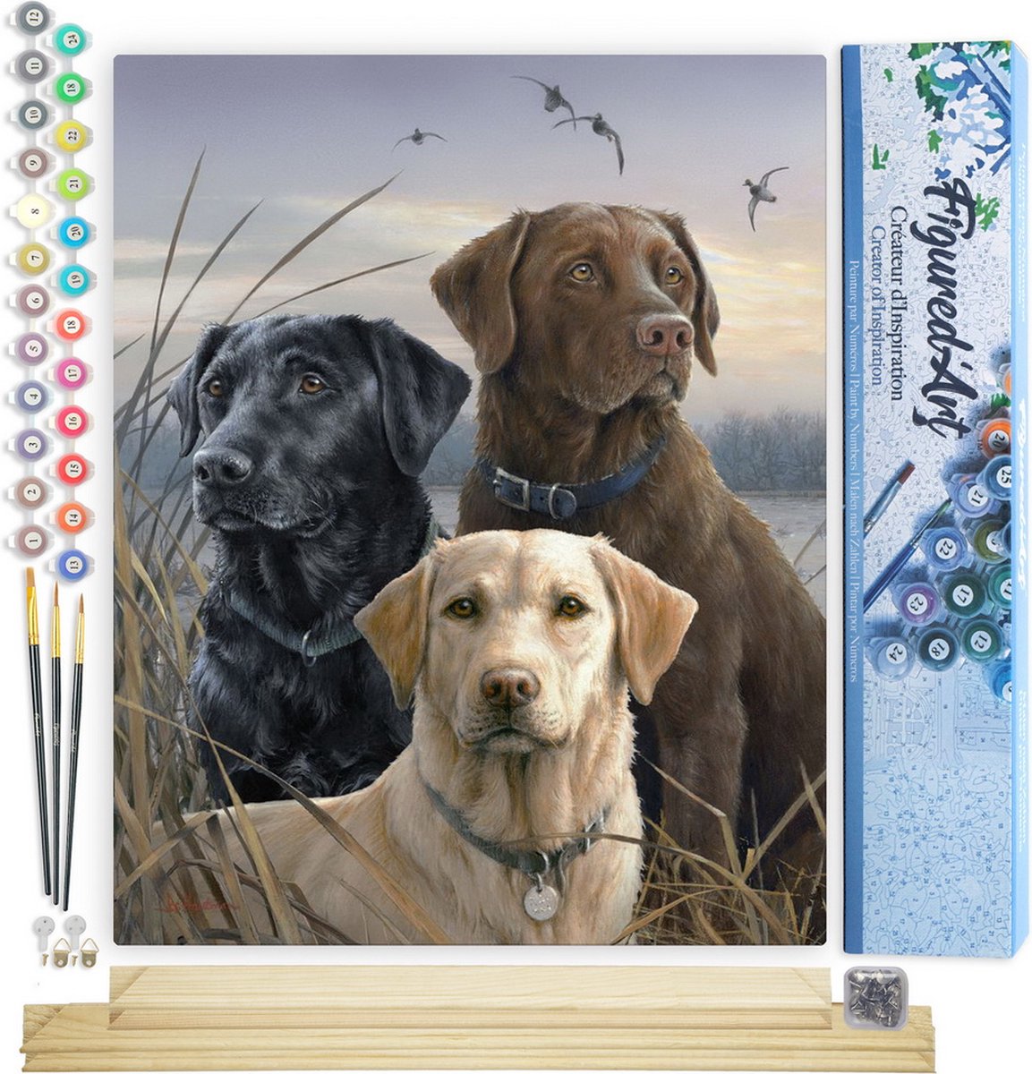 FiguredArt Schilderen op Nummer Volwassenen canvas Drie Labradors - Handwerk acrylverf Kit DIY Compleet - 40x50cm met DIY houten lijst